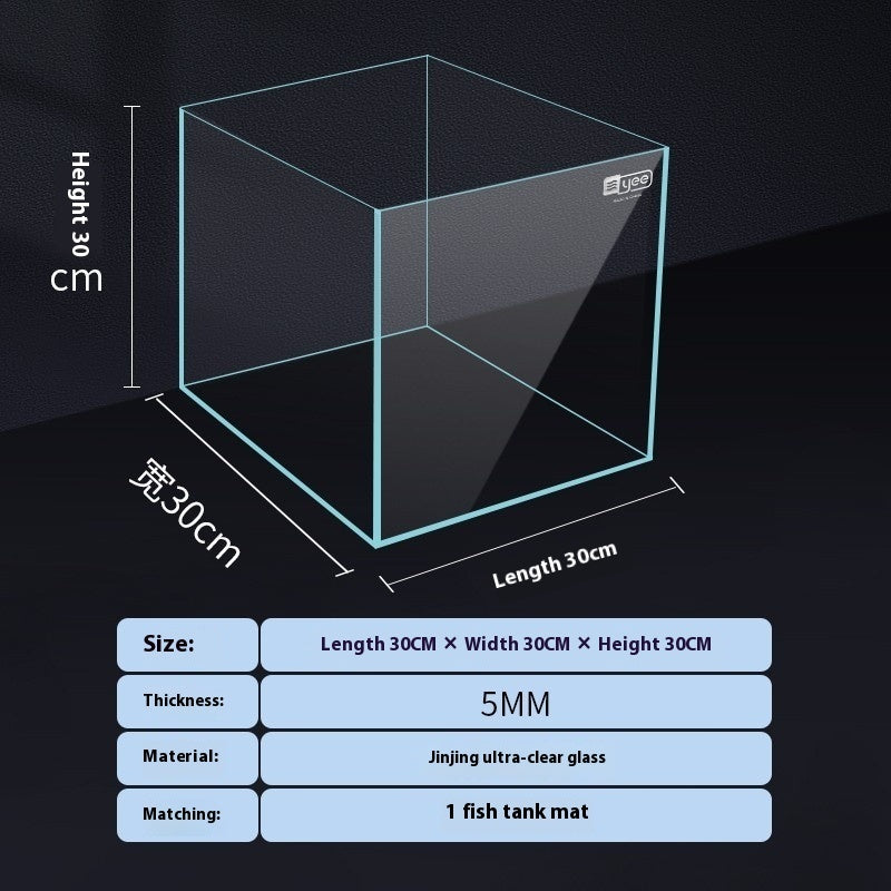 Vista Aquarium – Ultra-Clarity Low-Iron Desk Tank