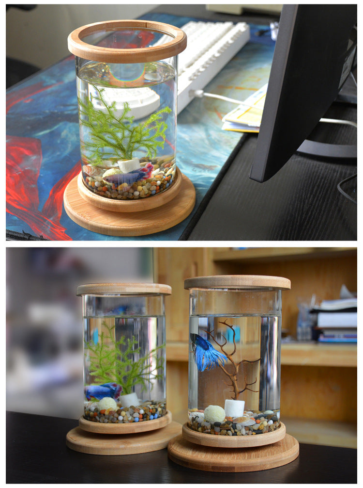 Zen Habitat – Minimalist Glass Tank with Bamboo Base