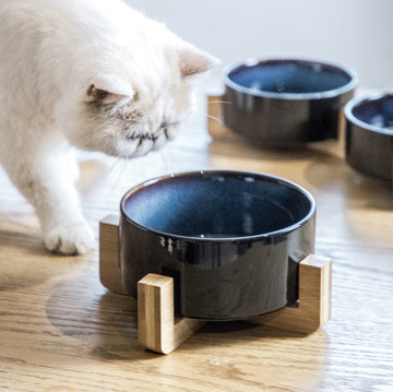 Artisan Elevated Ceramic Cat Bowl – Stylish Feeding Dish