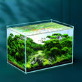 Vista Aquarium – Ultra-Clarity Low-Iron Desk Tank