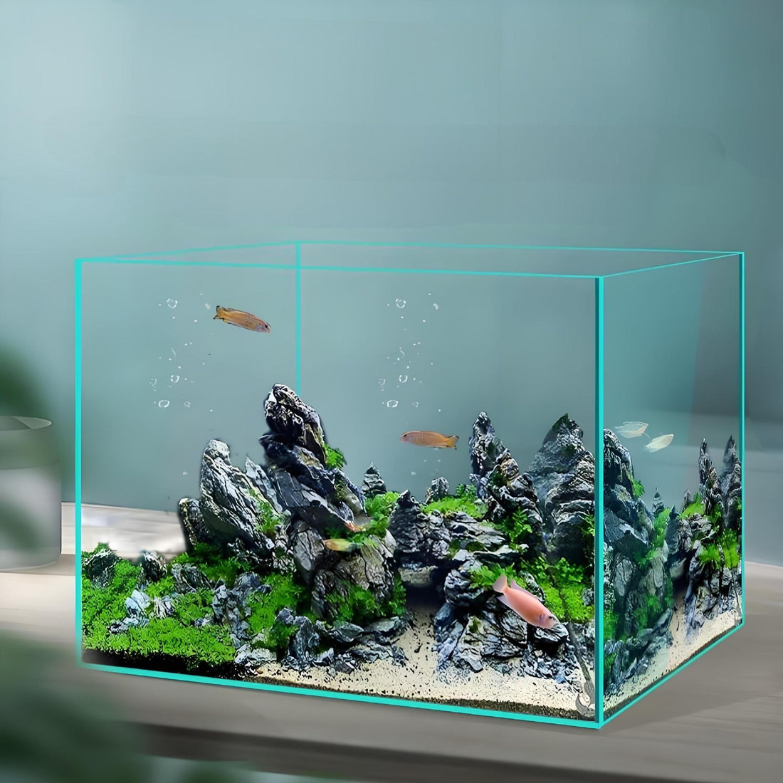 Vista Aquarium – Ultra-Clarity Low-Iron Desk Tank