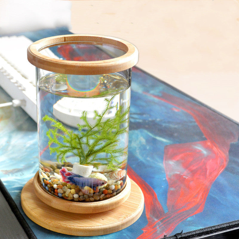 Zen Habitat – Minimalist Glass Tank with Bamboo Base

