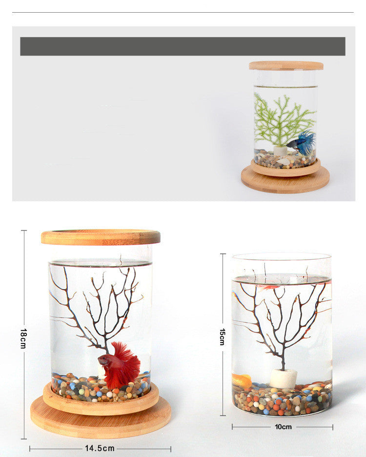 Zen Habitat – Minimalist Glass Tank with Bamboo Base