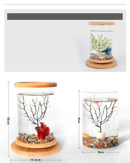 Zen Habitat – Minimalist Glass Tank with Bamboo Base