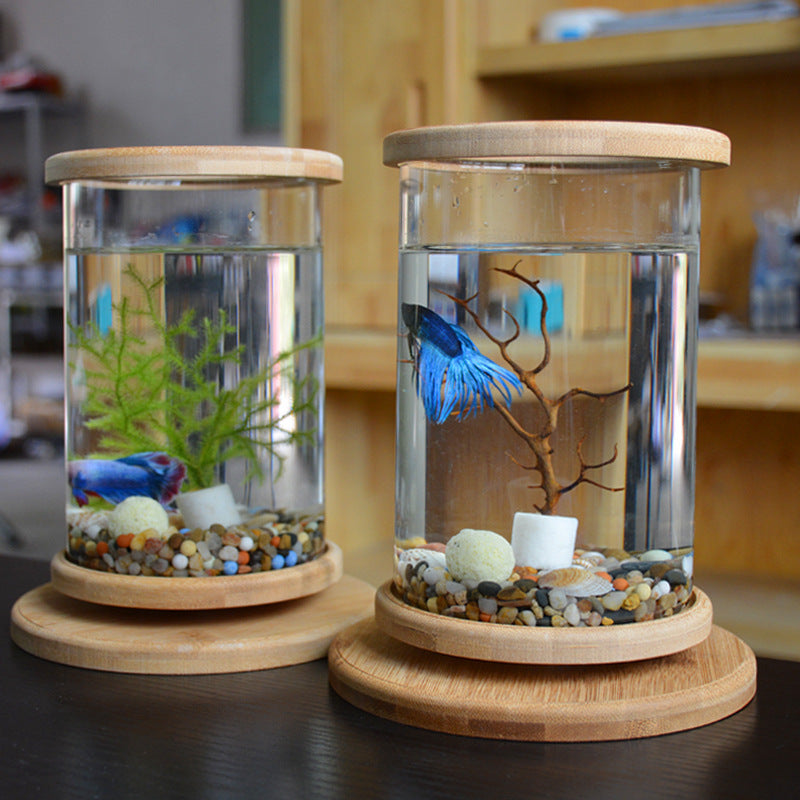 Zen Habitat – Minimalist Glass Tank with Bamboo Base
