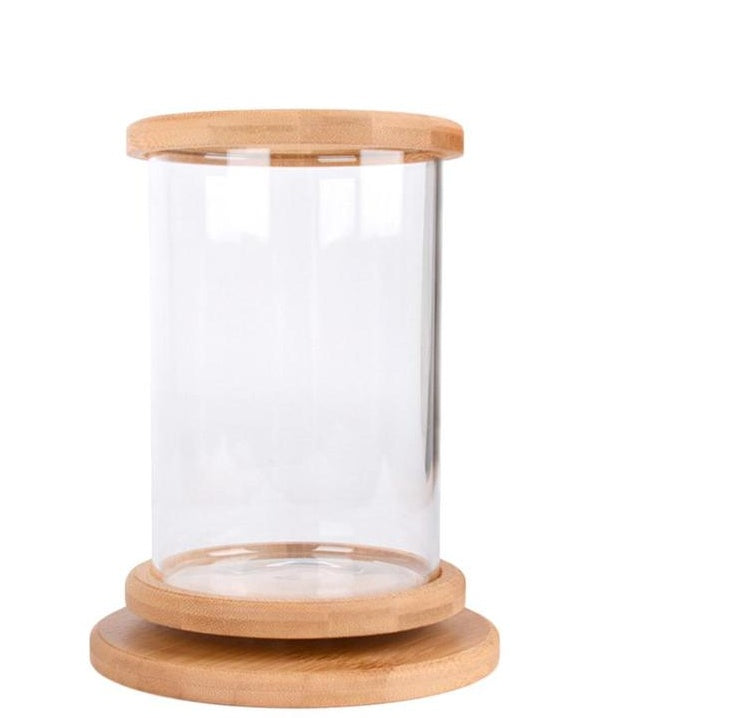 Zen Habitat – Minimalist Glass Tank with Bamboo Base