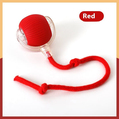The Roll Ball — Interactive Motion Cat Toy