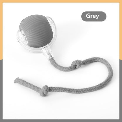 The Roll Ball — Interactive Motion Cat Toy
