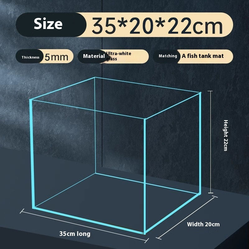 Vista Aquarium – Ultra-Clarity Low-Iron Desk Tank