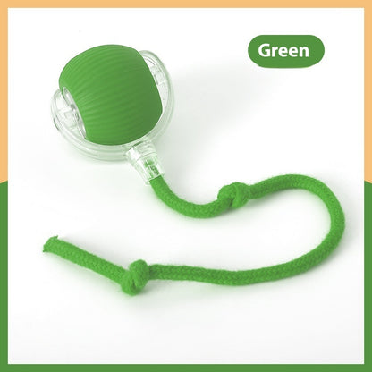 The Roll Ball — Interactive Motion Cat Toy