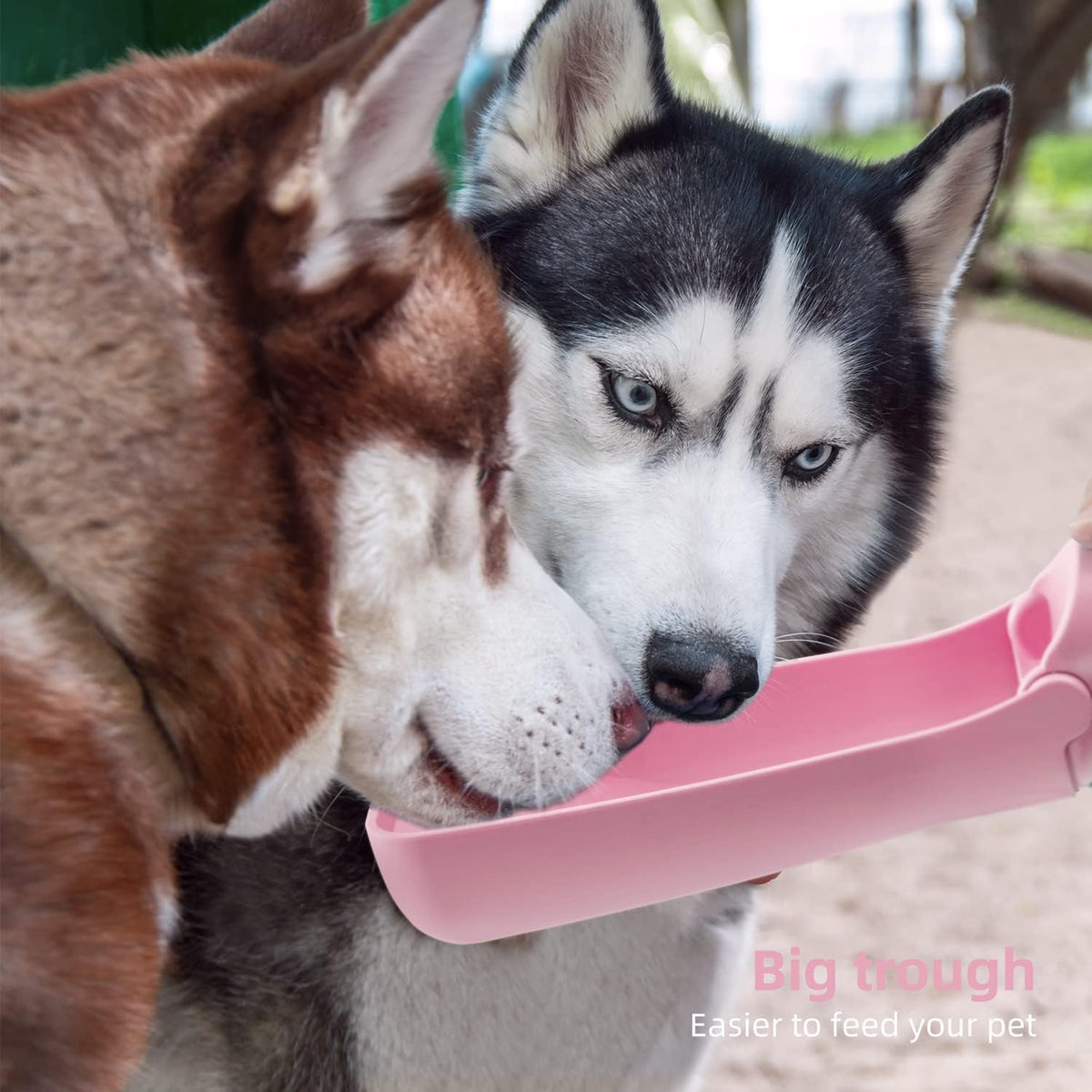 The Trail Bottle — Portable Dog Water Bottle for Walks