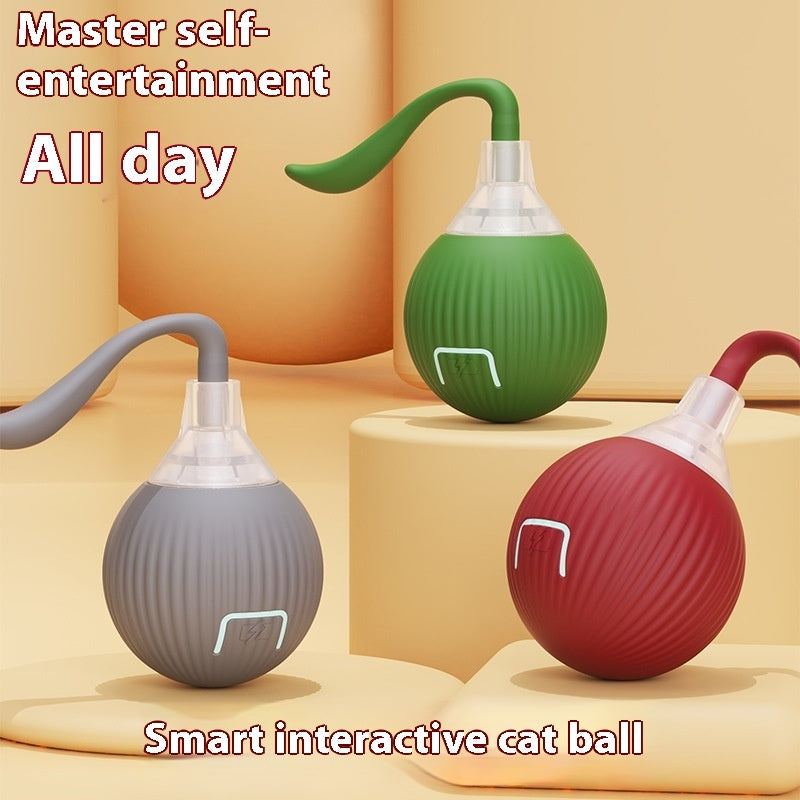 The Roll Ball — Interactive Motion Cat Toy
